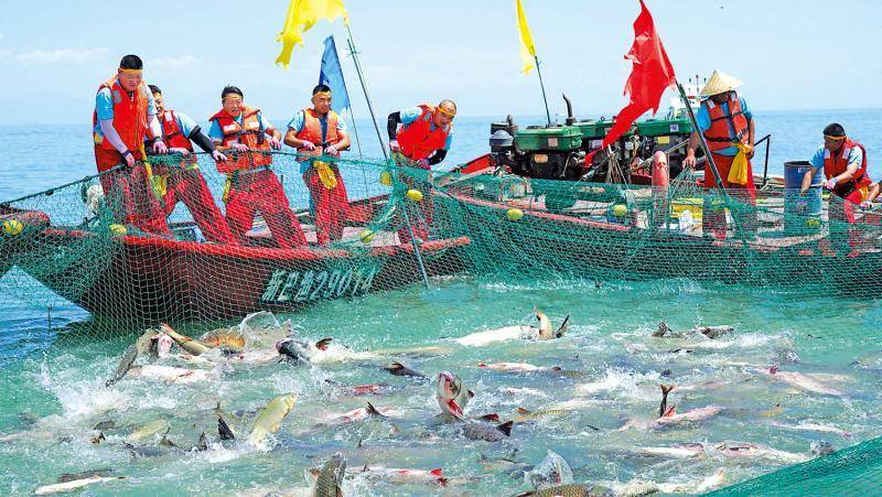 新疆“海鮮”大豐收 內陸水產養殖新篇章，助力國人實現魚蝦自由
