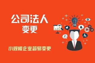 昆明商標注冊代理公司與版權(quán)代理服務指南 保護企業(yè)知識產(chǎn)權(quán)的重要橋梁